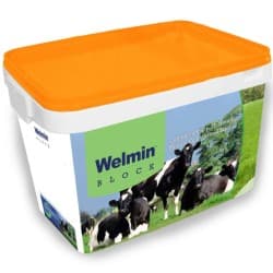 Welmin Dry Cow Elite Block